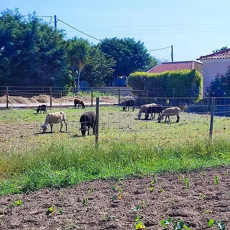 Granja Ferienhaus *